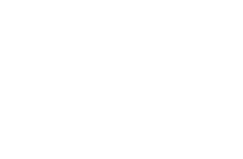 Werk 17